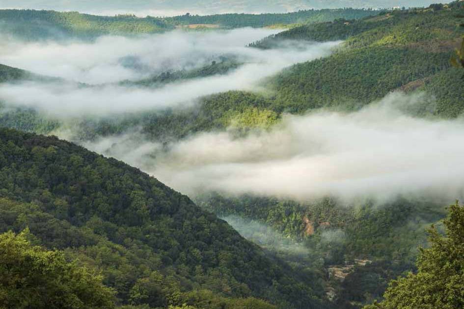 The UNESCO World Biosphere Reserve of Peglia Mount